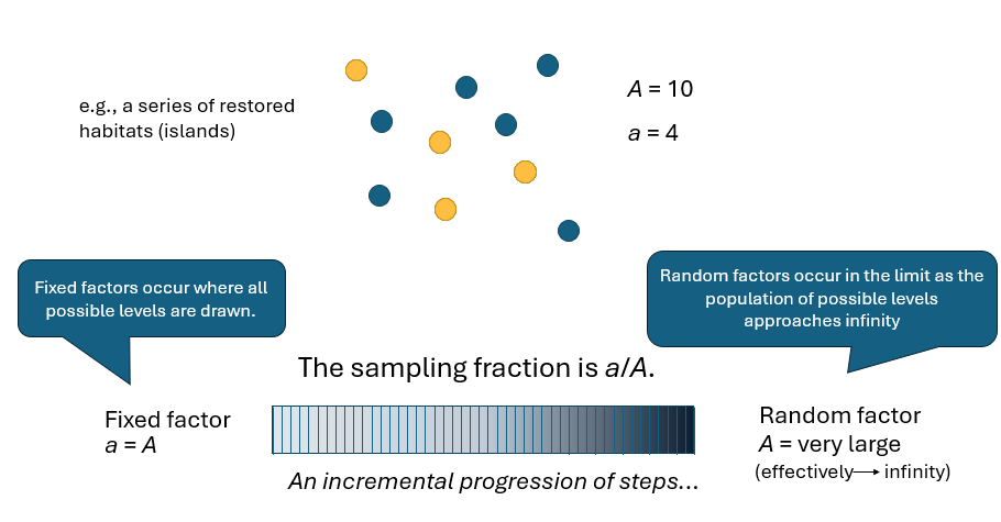 03._Finite_factors_sampling_fraction.pptx - PowerPoint.png