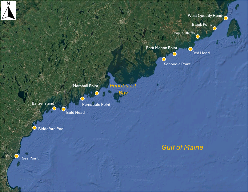 15b._Gulf_of_Maine_Google_map_mark-up.png